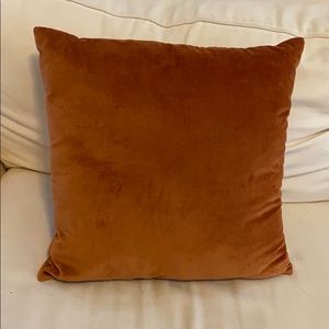 World Market Velvet Throw Pillow